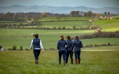 Who are the best brand ambassadors?