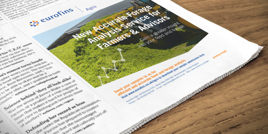 print-campaign-development