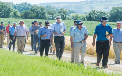 Online venues for discussion groups and farm demos