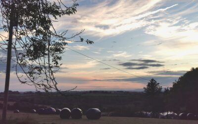 Green Acre Marketing to attend National Landscape Forum 2023